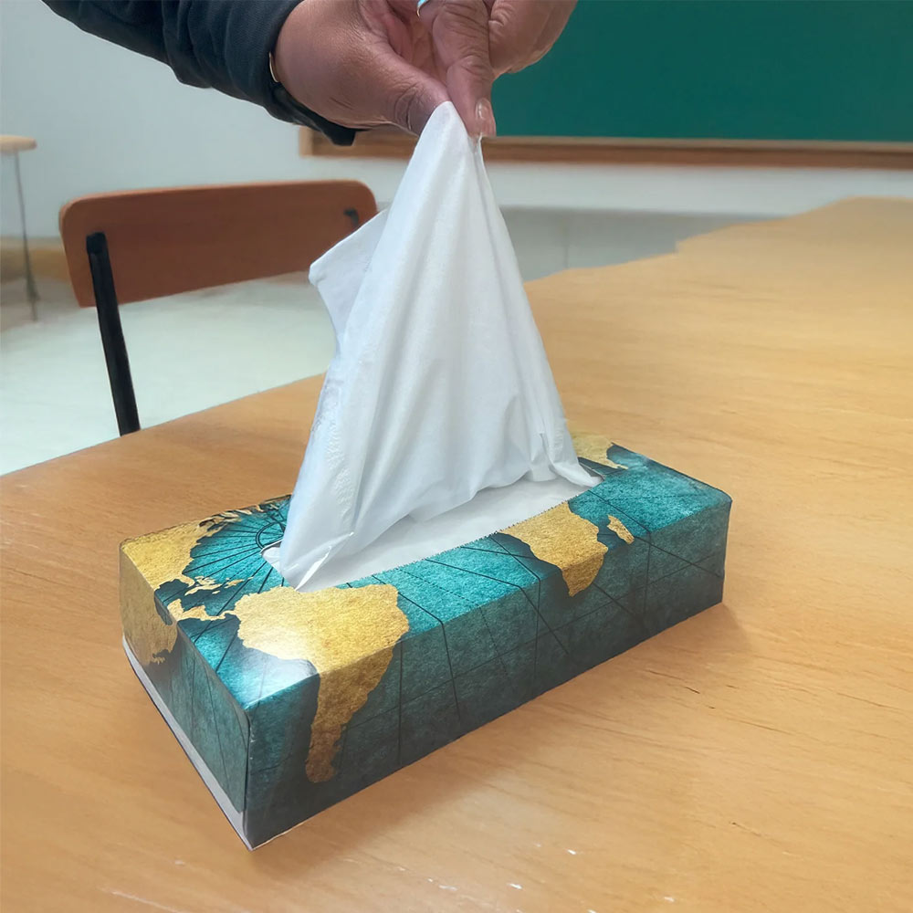 Facial Tissue Box of 100